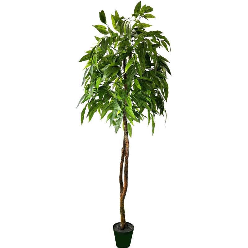 Primrue HandMade Primrue All Seasons 6'' Artificial Mango Tree Wayfair